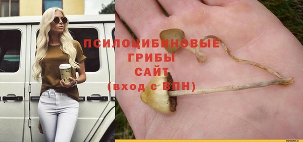 гидропоника Белоозёрский