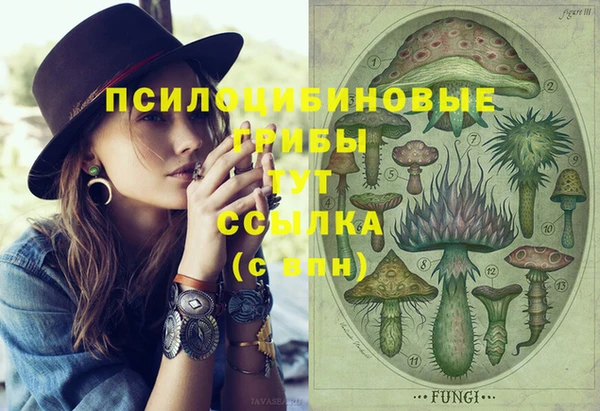 мет Белокуриха