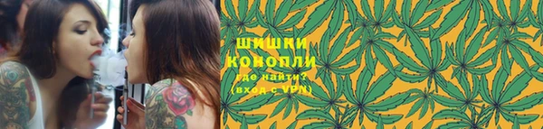 гидропоника Белоозёрский