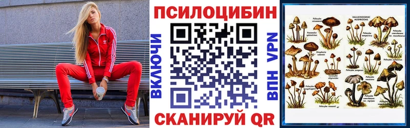 Псилоцибиновые грибы Psilocybe  дарнет шоп  Вичуга 